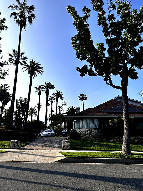 samantrasunny image ~ Altpins