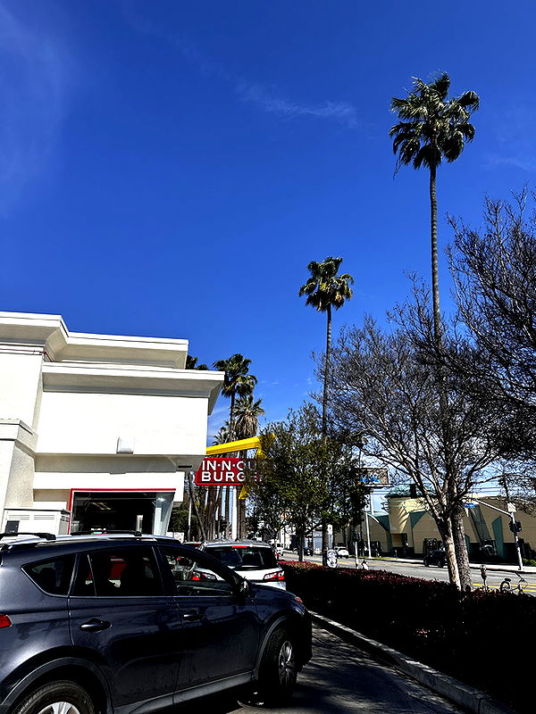 samantrasunny image ~ Altpins