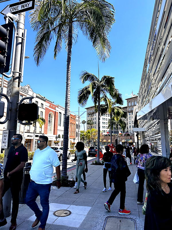 samantrasunny image ~ Altpins