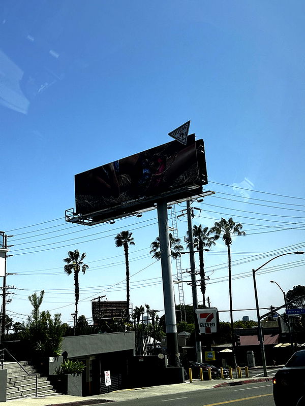 samantrasunny image ~ Altpins