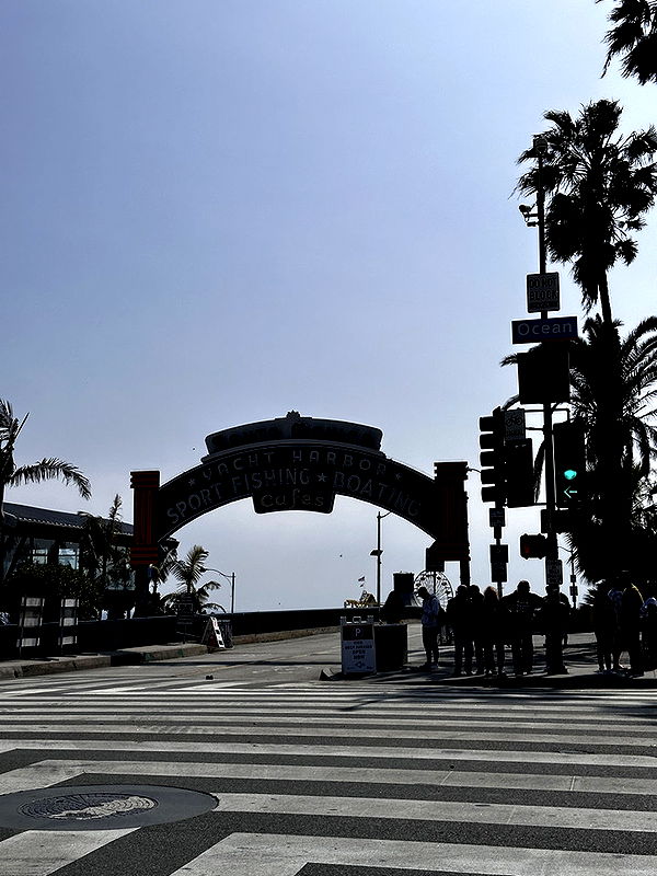 samantrasunny image ~ Altpins