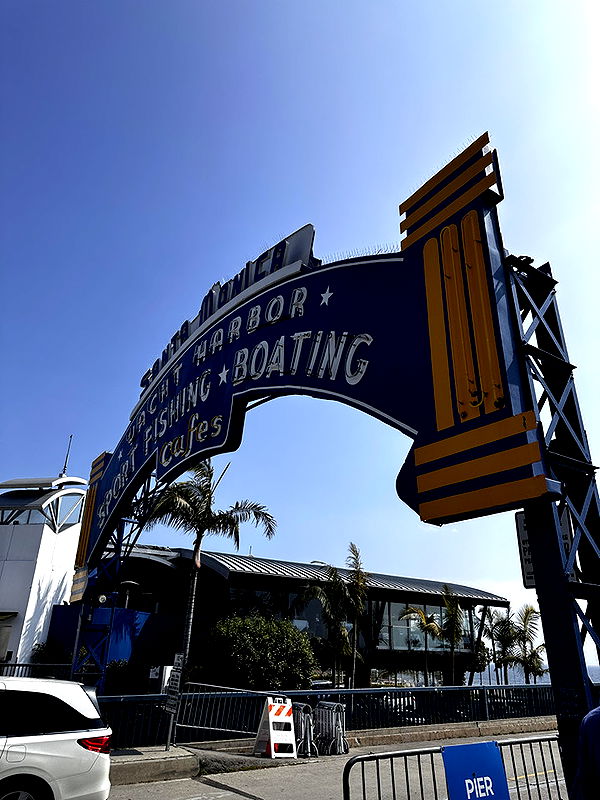 samantrasunny image ~ Altpins