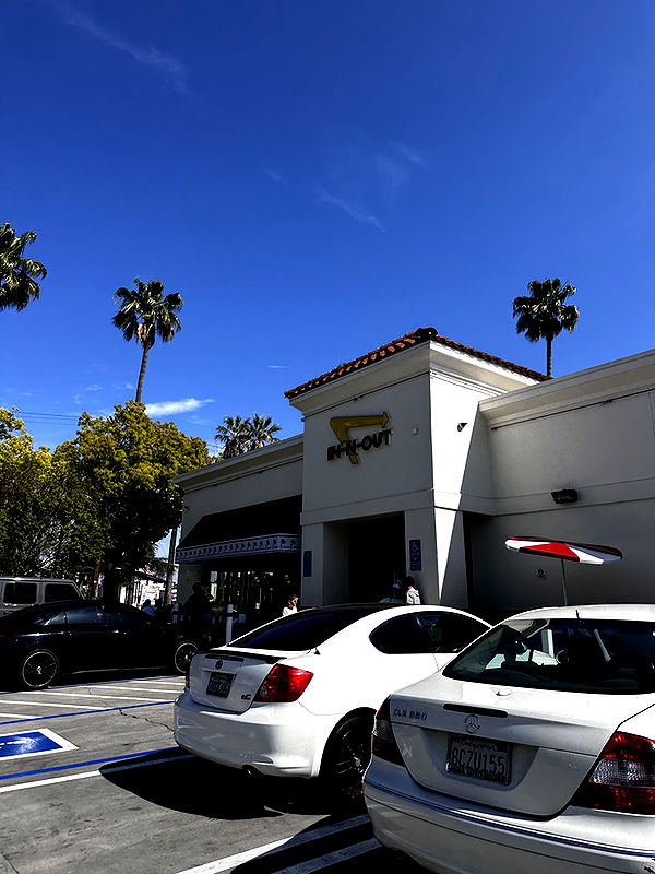 samantrasunny image ~ Altpins