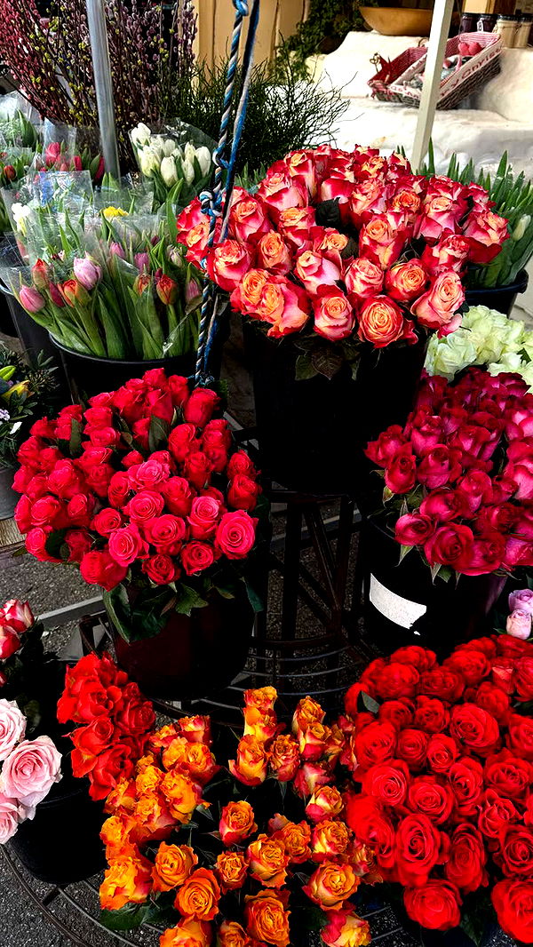 samantrasunny image ~ Altpins