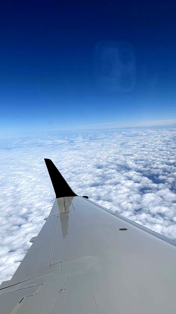 samantrasunny image ~ Altpins