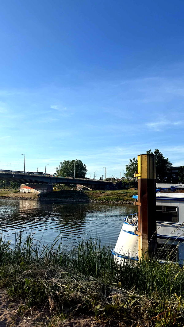 samantrasunny image ~ Altpins