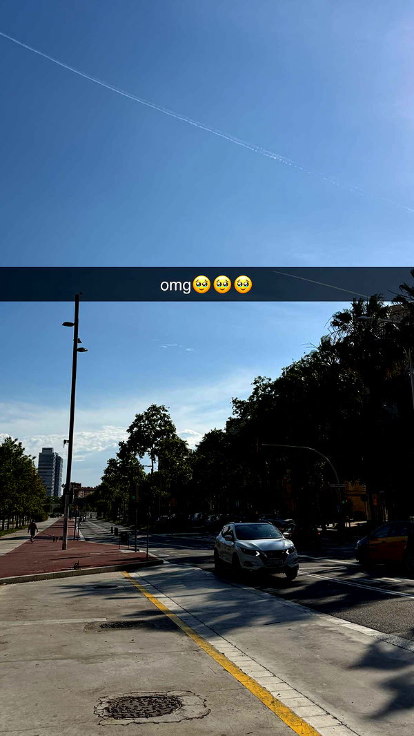 samantrasunny image ~ Altpins