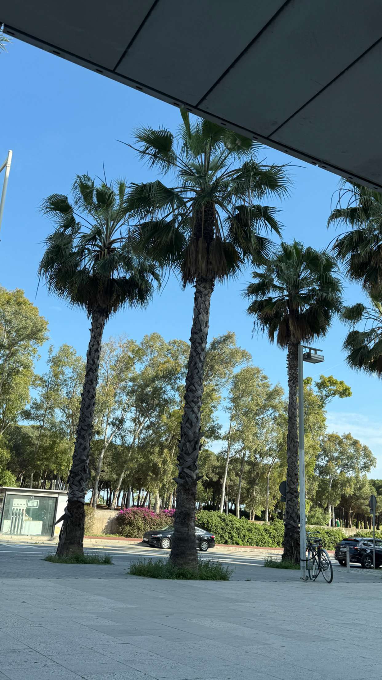 samantrasunny snapchat image archive image