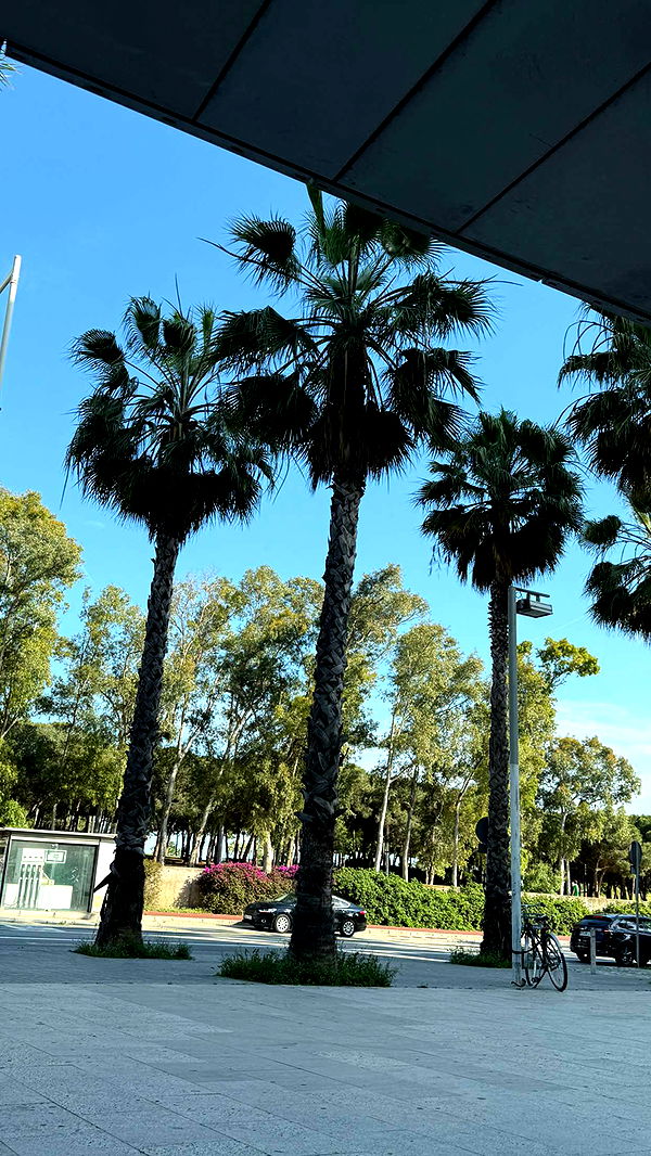 samantrasunny image ~ Altpins