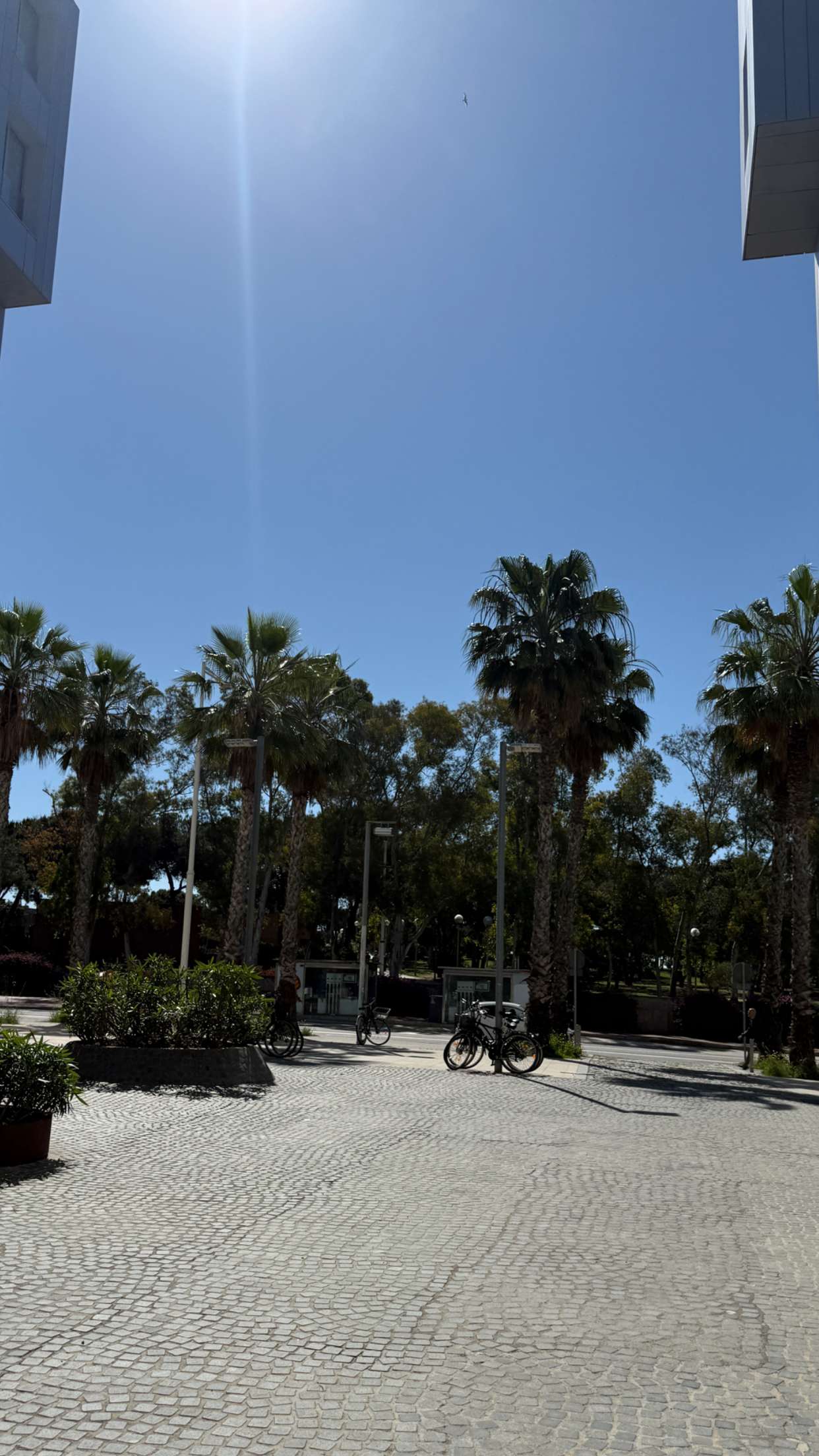 samantrasunny snapchat image archive image