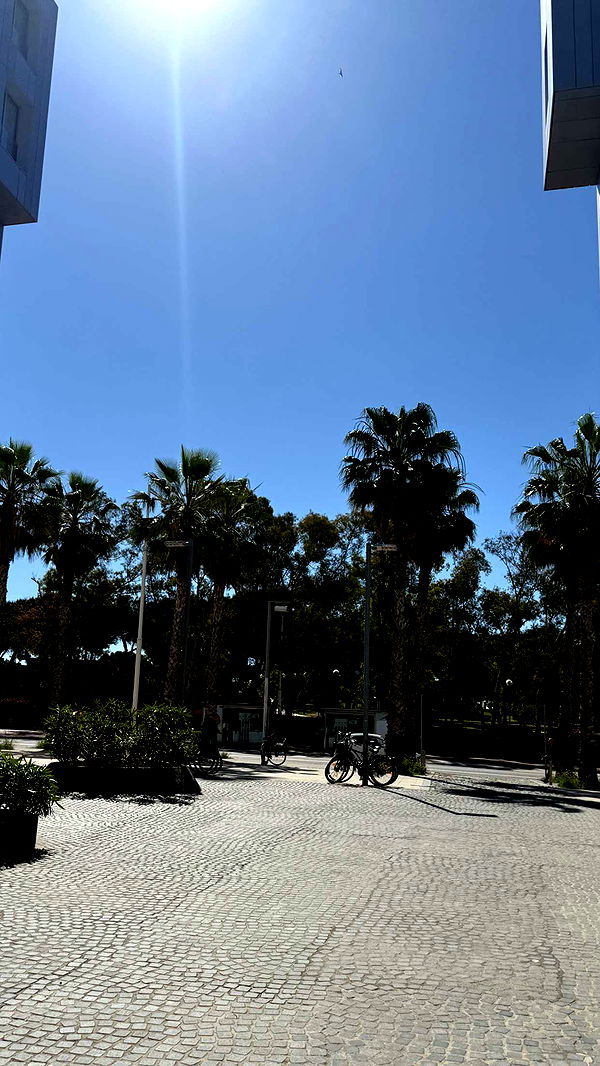 samantrasunny image ~ Altpins