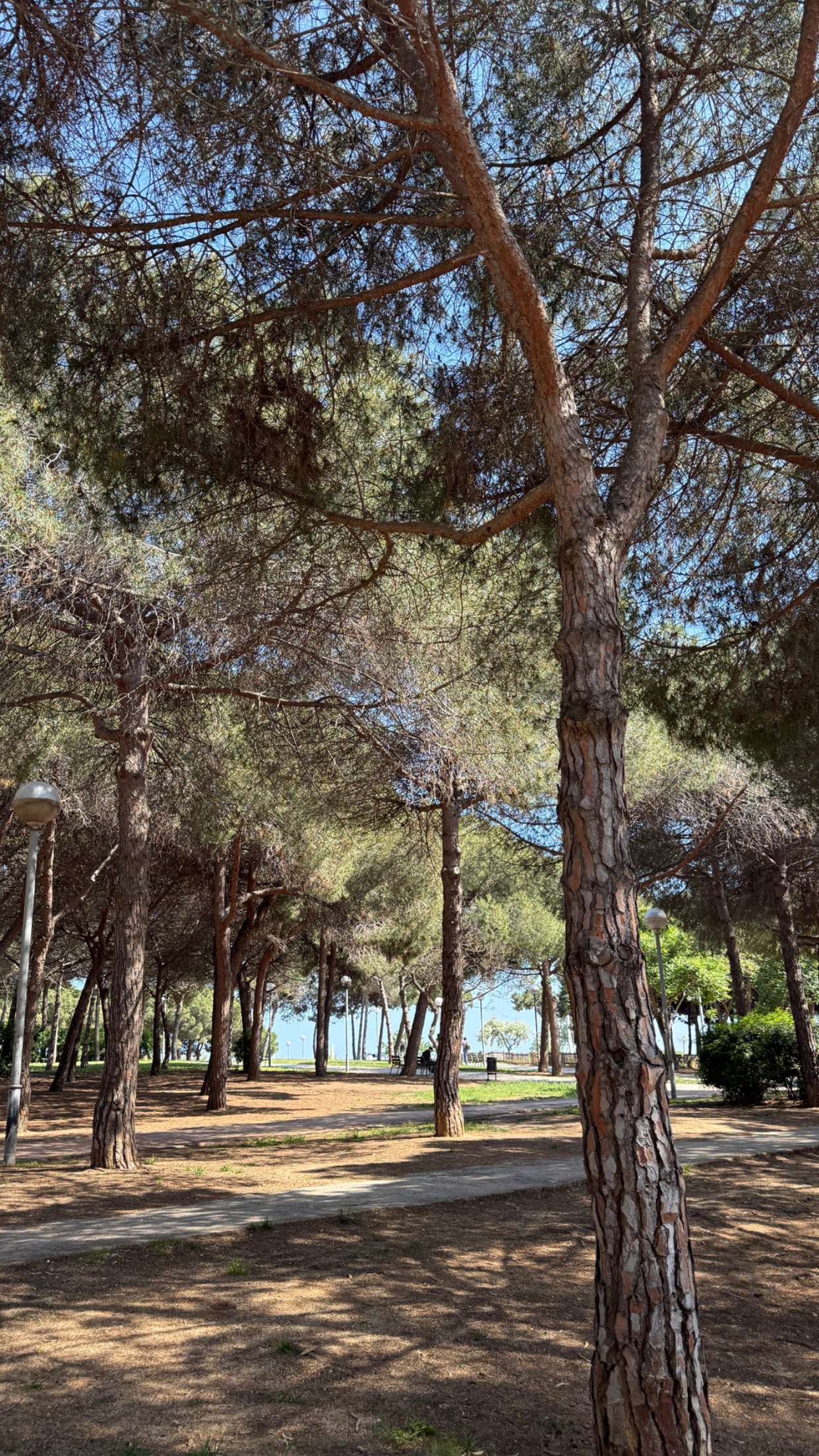 samantrasunny snapchat image archive image