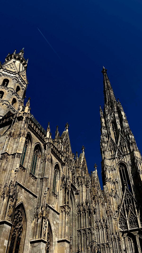 samantrasunny image ~ Altpins