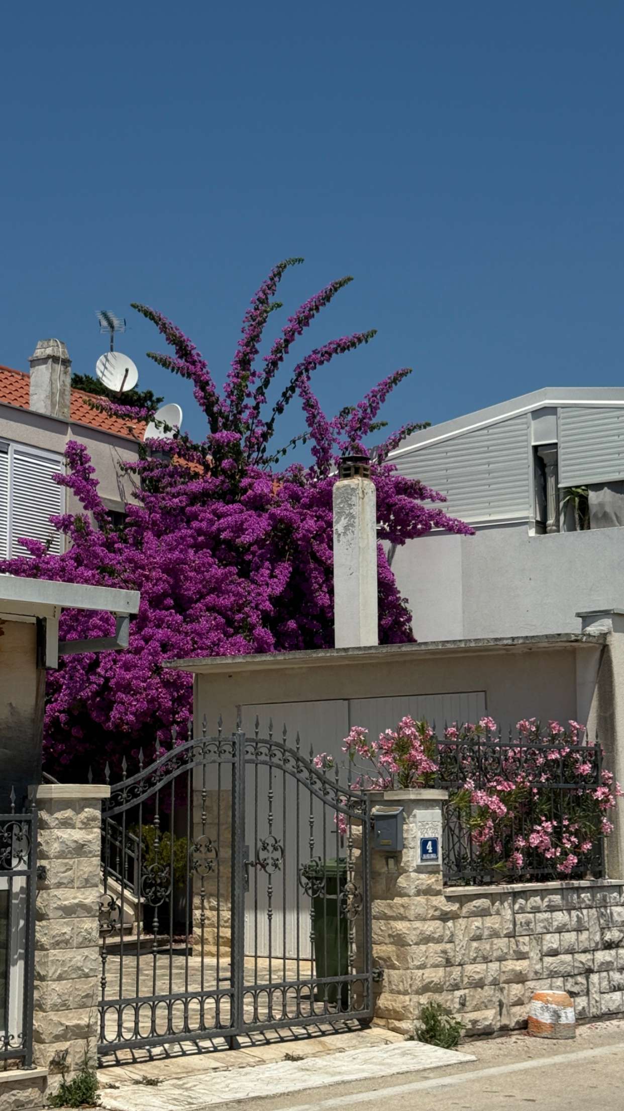 samantrasunny snapchat image archive image