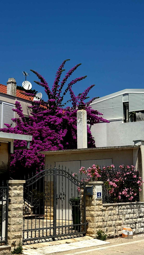 samantrasunny image ~ Altpins