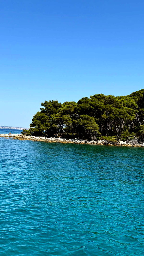 samantrasunny image ~ Altpins