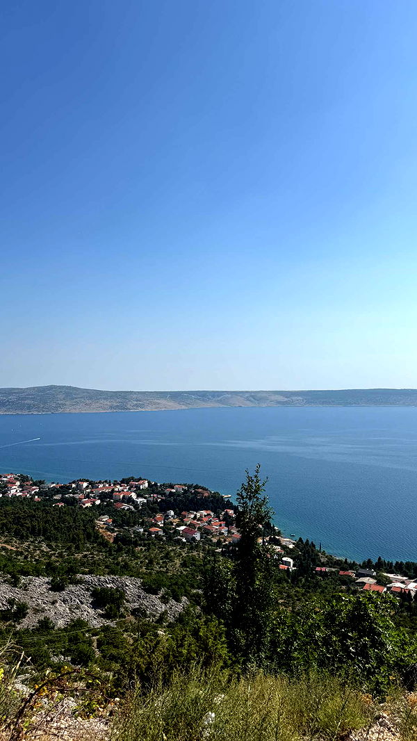 samantrasunny image ~ Altpins