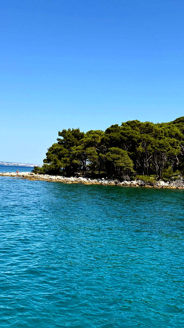 samantrasunny image ~ Altpins