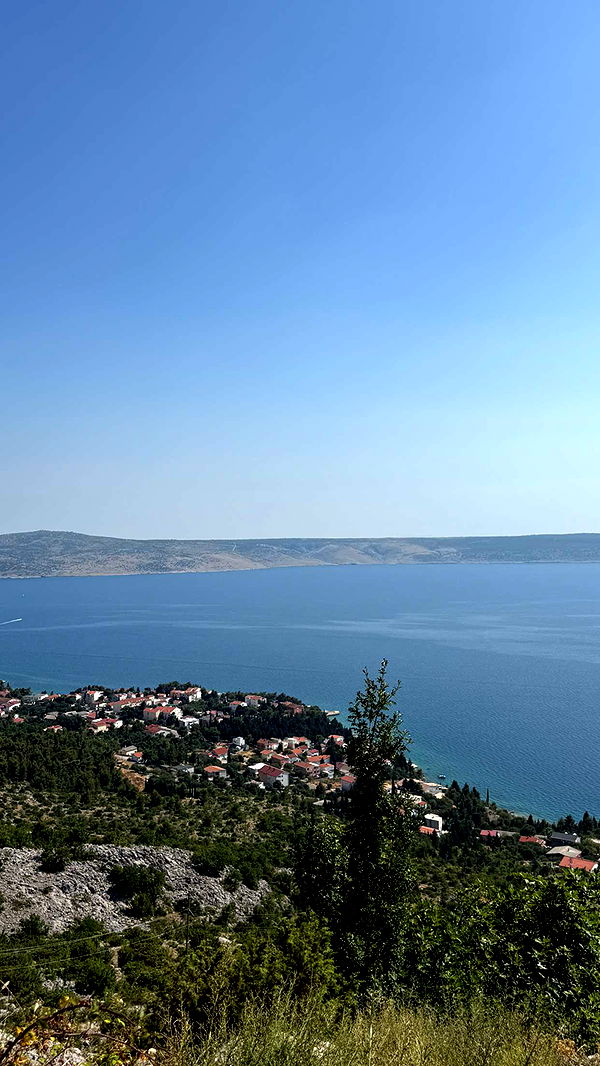 samantrasunny image ~ Altpins