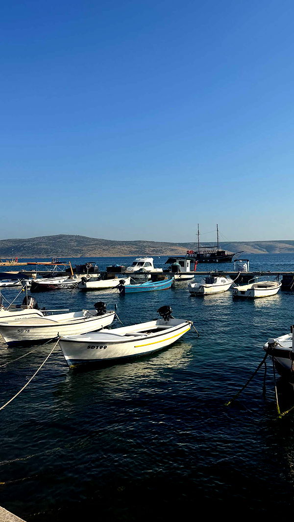 samantrasunny image ~ Altpins