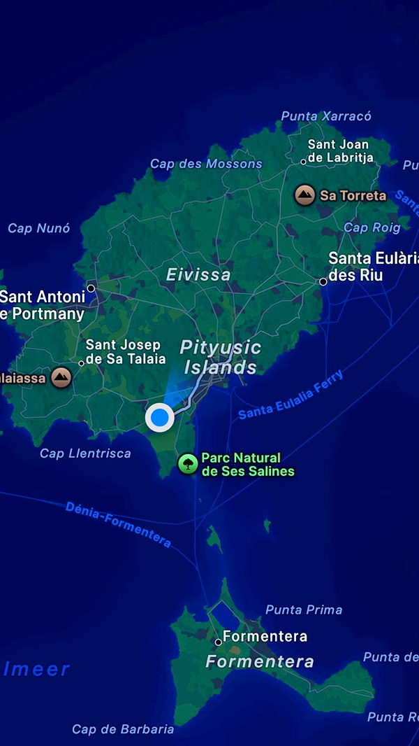 samantrasunny image ~ Altpins