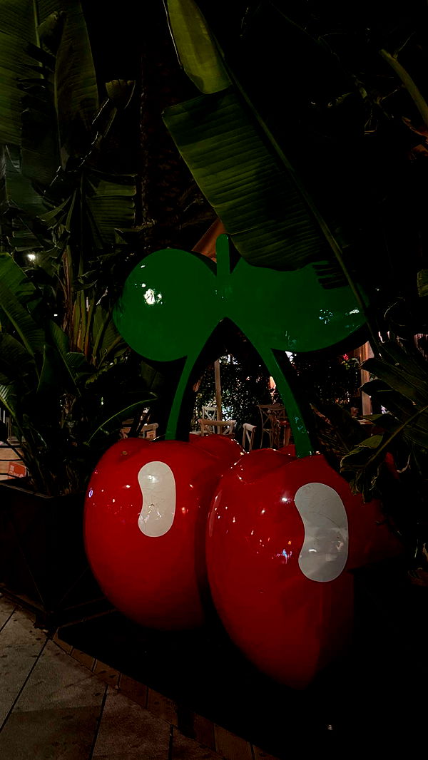 samantrasunny image ~ Altpins