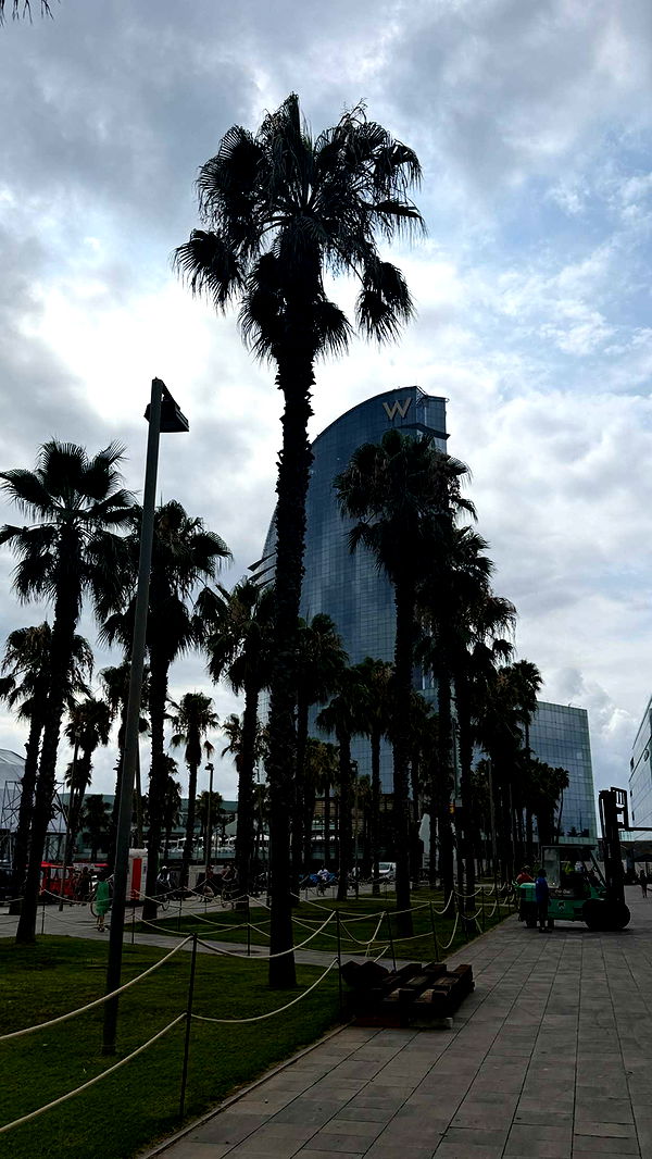 samantrasunny image ~ Altpins