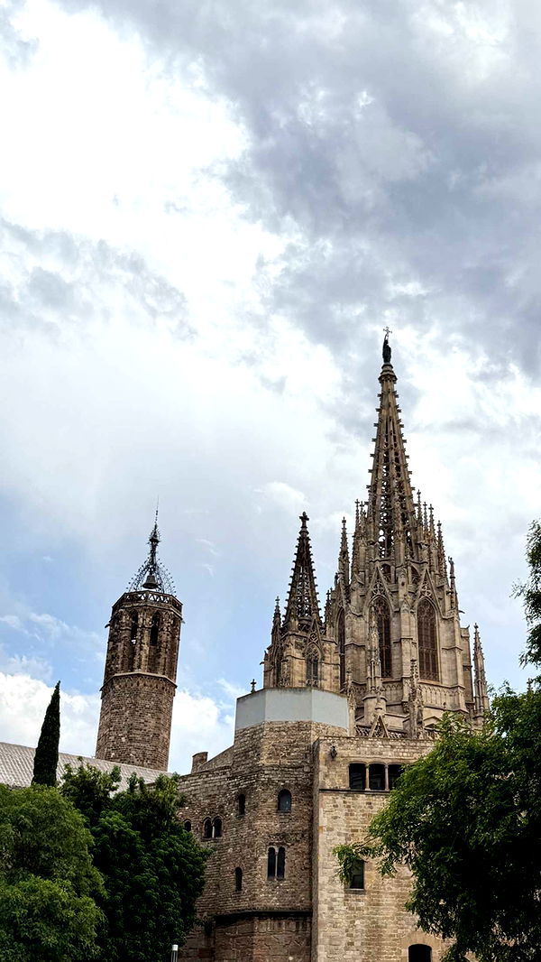 samantrasunny image ~ Altpins