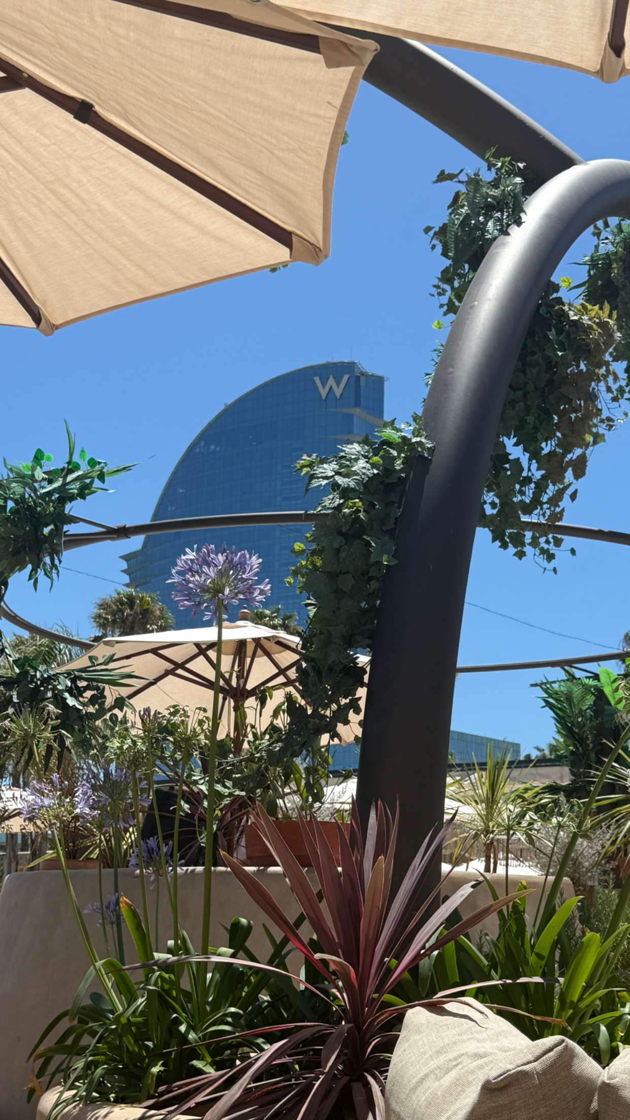 samantrasunny snapchat image archive image