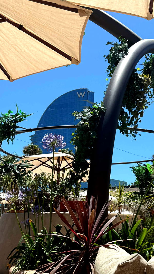 samantrasunny image ~ Altpins