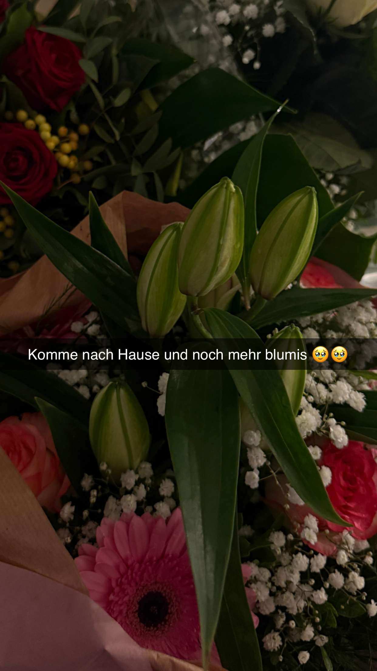 samantrasunny snapchat image archive image