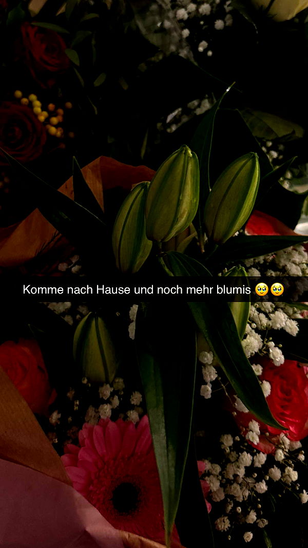 samantrasunny image ~ Altpins