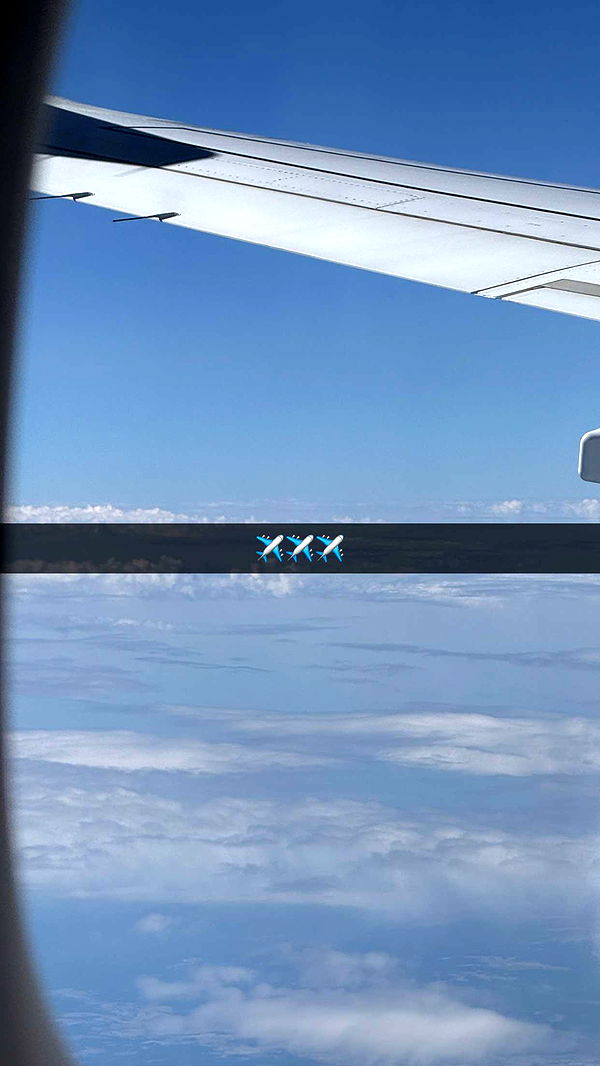 samantrasunny image ~ Altpins