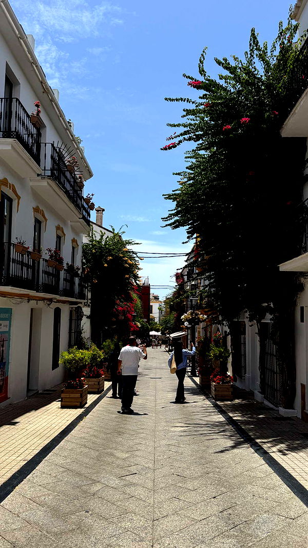 samantrasunny image ~ Altpins