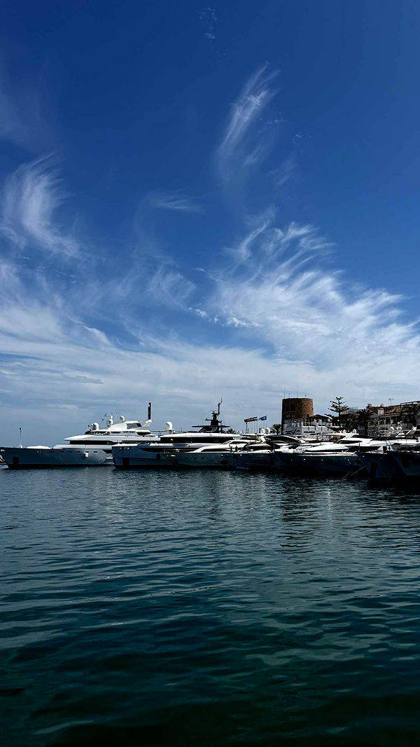 samantrasunny image ~ Altpins