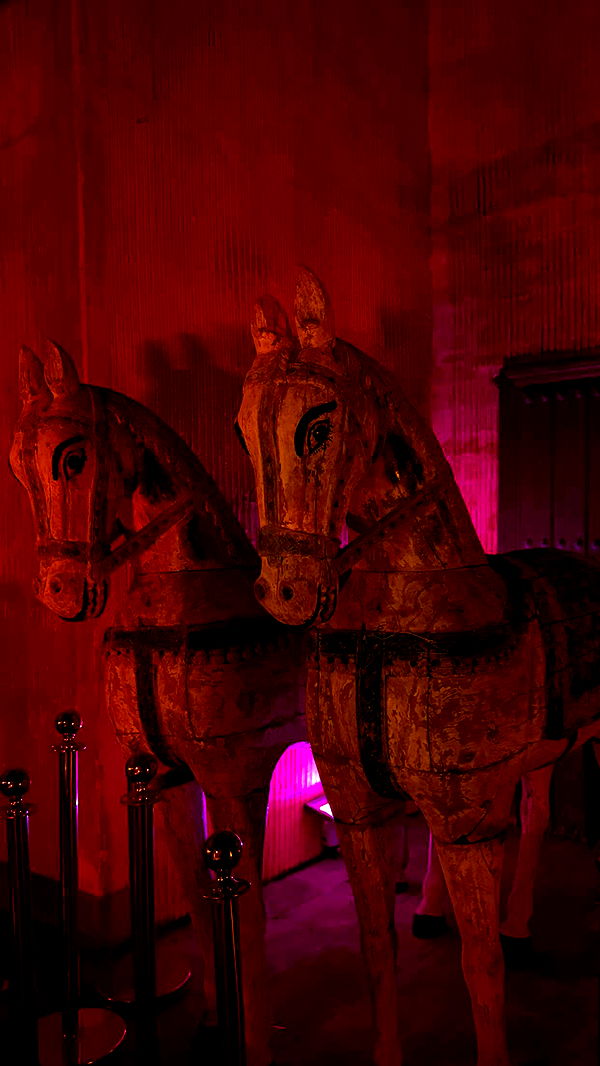 samantrasunny image ~ Altpins