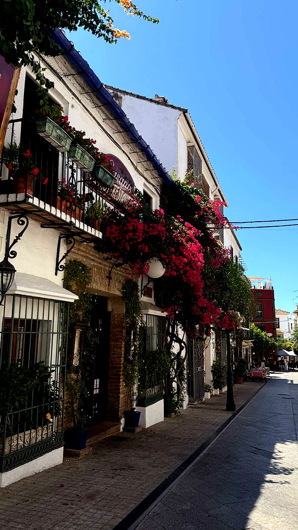 samantrasunny image ~ Altpins