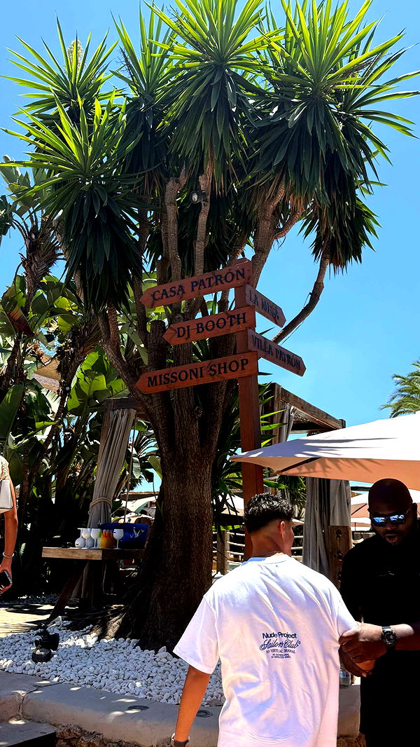 samantrasunny image ~ Altpins