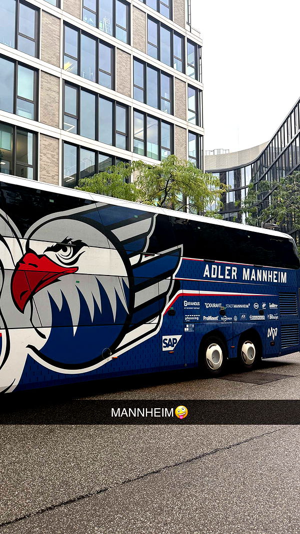 samantrasunny image ~ Altpins