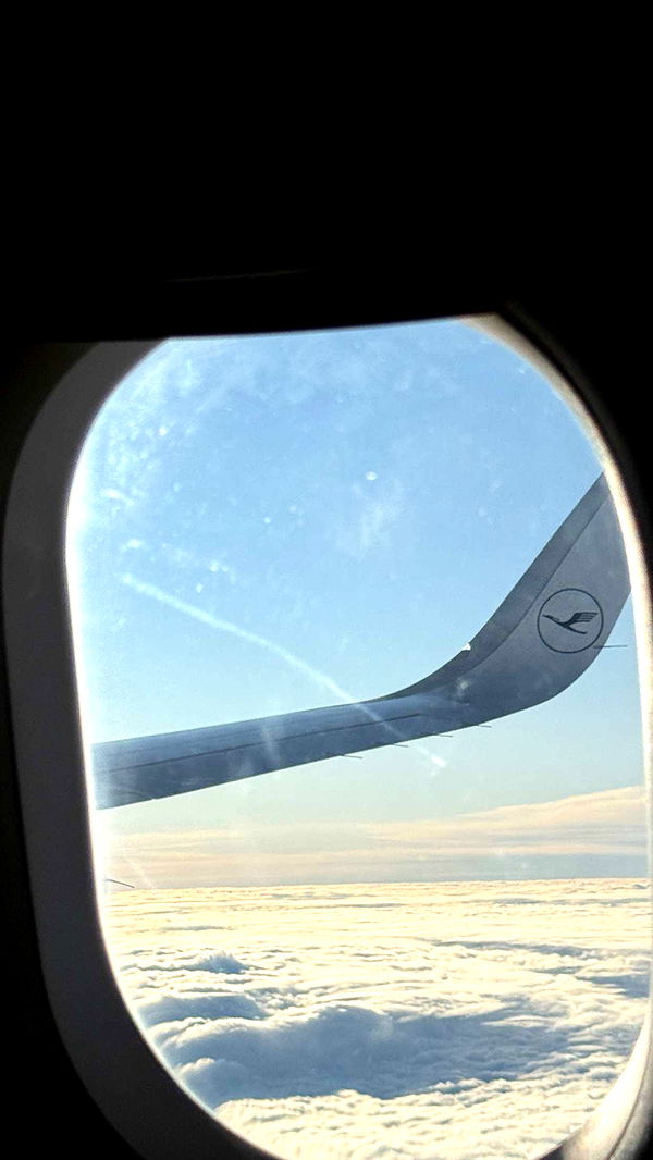 samantrasunny image ~ Altpins