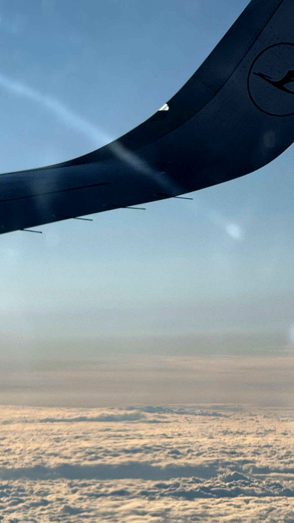 samantrasunny image ~ Altpins