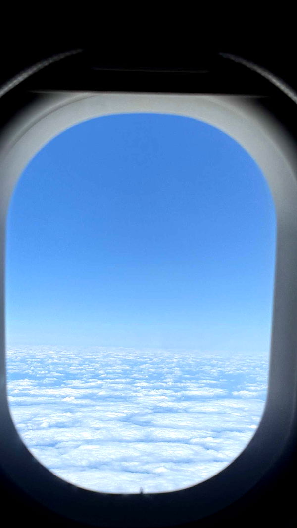 samantrasunny image ~ Altpins