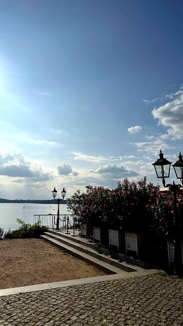 samantrasunny image ~ Altpins