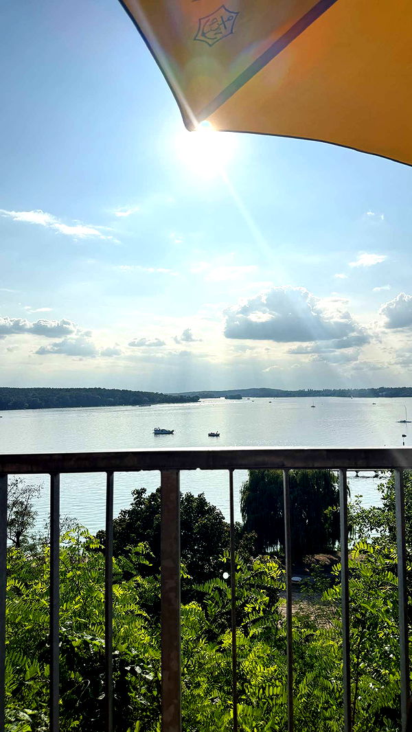 samantrasunny image ~ Altpins