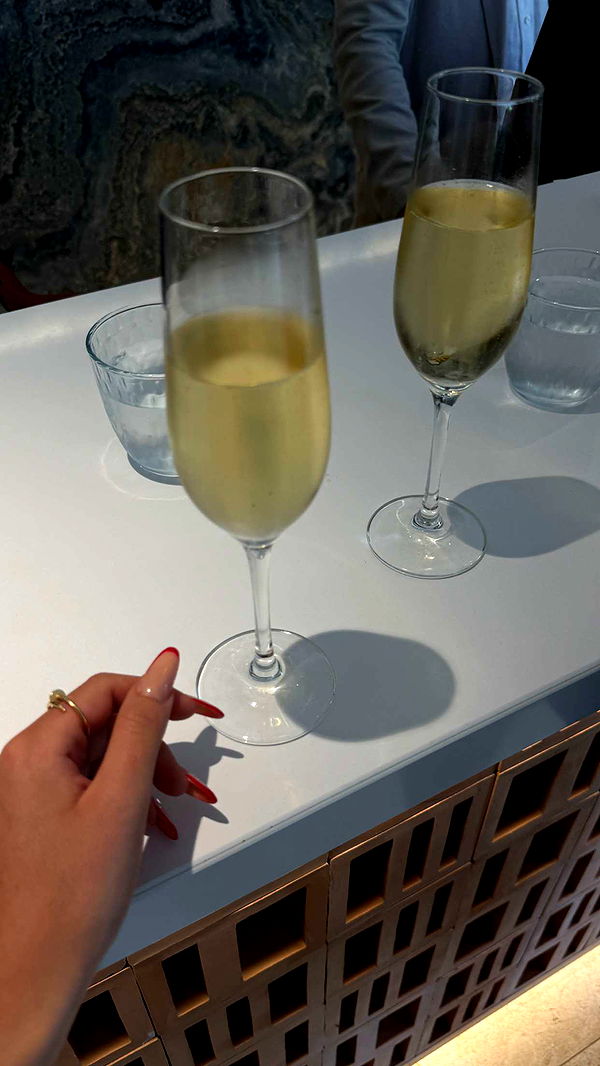 samantrasunny image ~ Altpins