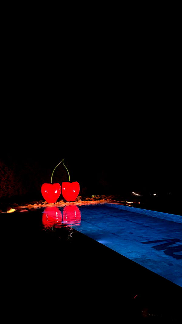 samantrasunny image ~ Altpins