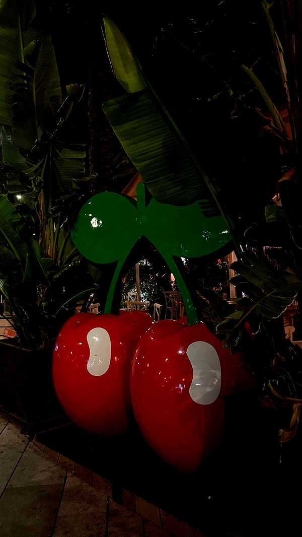 samantrasunny image ~ Altpins