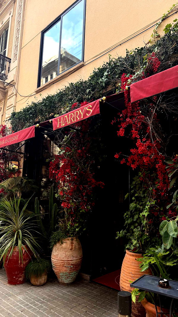 samantrasunny image ~ Altpins