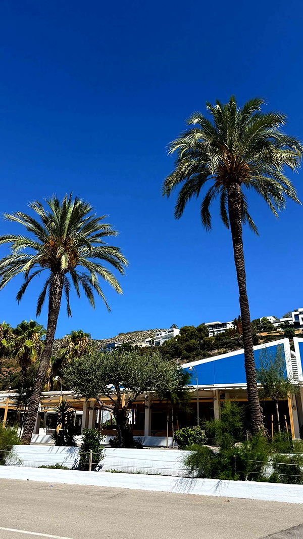 samantrasunny image ~ Altpins