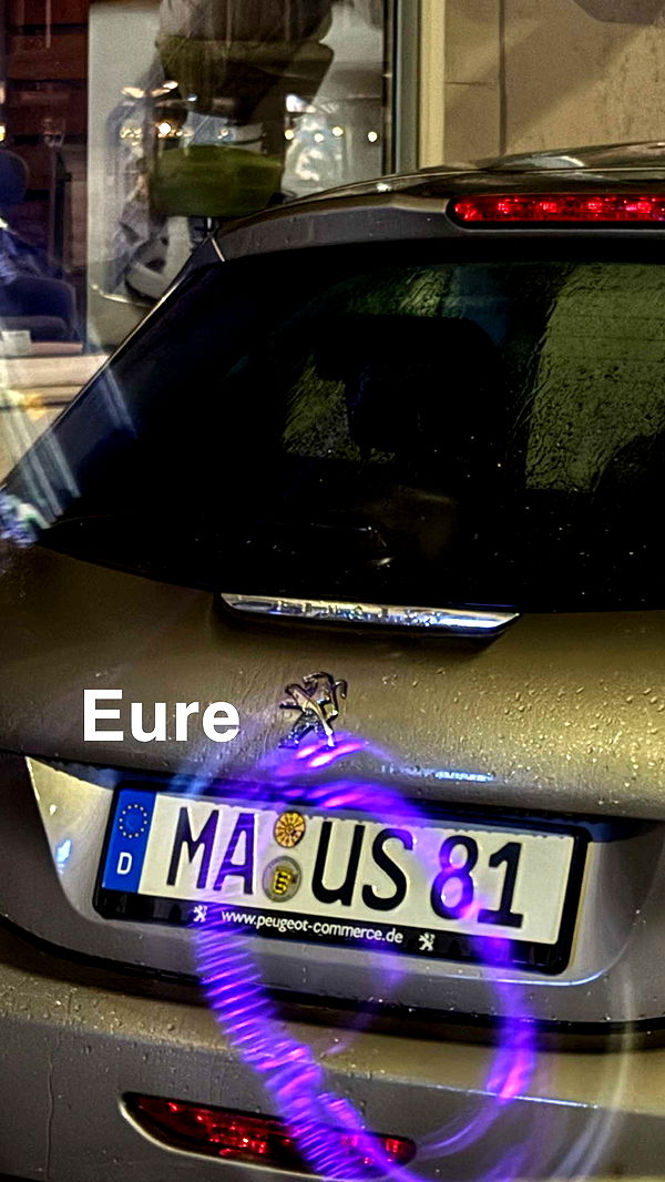 samantrasunny image ~ Altpins